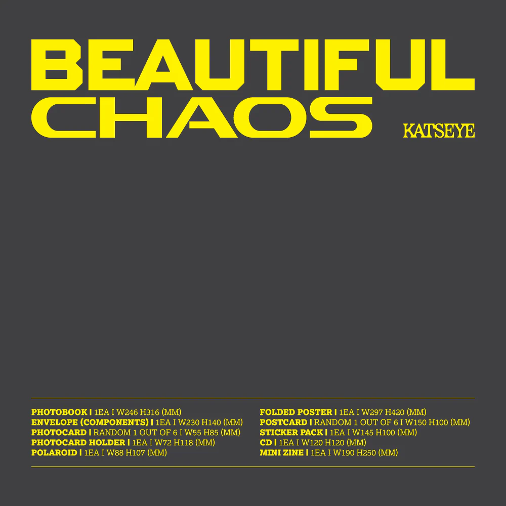 BEAUTIFUL CHAOS (Chaotic Ver.) - Image 2