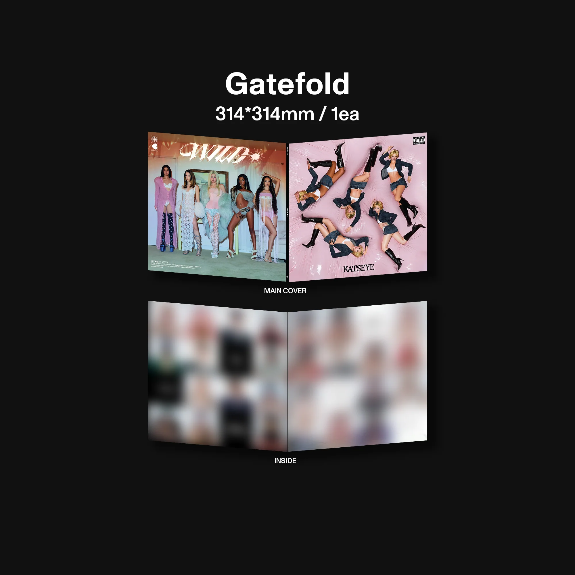 WILD - Official Store Exclusive Vinyl + Signed Artcard - Image 4
